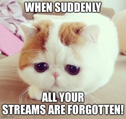 Sad Cat | WHEN SUDDENLY; ALL YOUR STREAMS ARE FORGOTTEN! | image tagged in sad cat | made w/ Imgflip meme maker