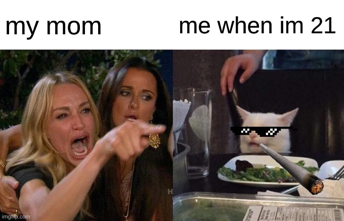 Woman Yelling At Cat | my mom; me when im 21 | image tagged in memes,woman yelling at cat | made w/ Imgflip meme maker