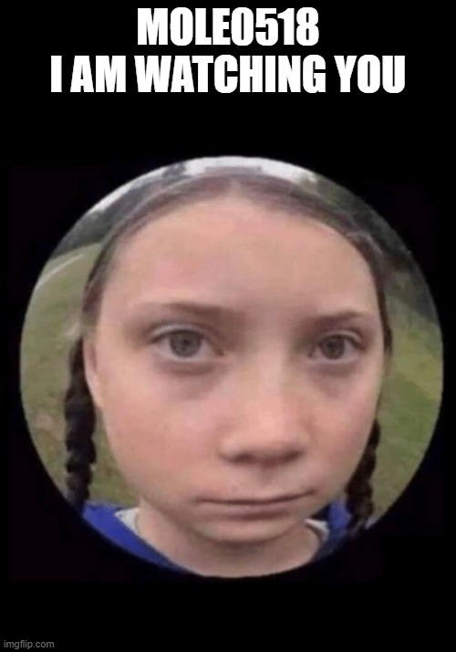 Greta Thunberg | MOLE0518
I AM WATCHING YOU | image tagged in greta thunberg | made w/ Imgflip meme maker