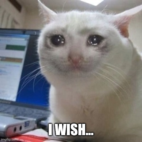 Crying cat | I WISH... | image tagged in crying cat | made w/ Imgflip meme maker