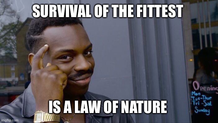 Roll Safe Think About It Meme | SURVIVAL OF THE FITTEST IS A LAW OF NATURE | image tagged in memes,roll safe think about it | made w/ Imgflip meme maker