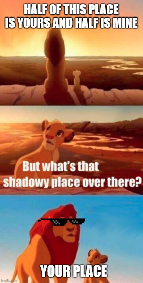 Simba Shadowy Place Meme | HALF OF THIS PLACE IS YOURS AND HALF IS MINE; YOUR PLACE | image tagged in memes,simba shadowy place | made w/ Imgflip meme maker