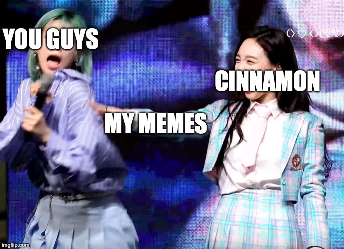 Twice Bullying Ad | YOU GUYS; CINNAMON; MY MEMES | image tagged in twice bullying ad | made w/ Imgflip meme maker