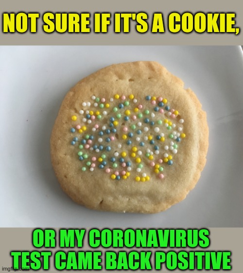 Spooky cookie | NOT SURE IF IT'S A COOKIE, OR MY CORONAVIRUS TEST CAME BACK POSITIVE | image tagged in memes,cookies,coronavirus | made w/ Imgflip meme maker