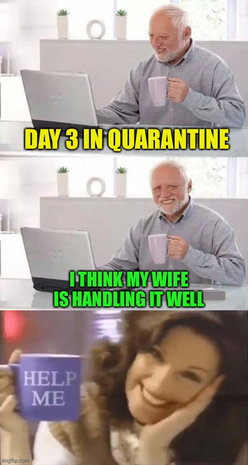 I don’t think she’s gonna make two weeks. | DAY 3 IN QUARANTINE; I THINK MY WIFE IS HANDLING IT WELL | image tagged in memes,hide the pain harold,quarantine,funny | made w/ Imgflip meme maker
