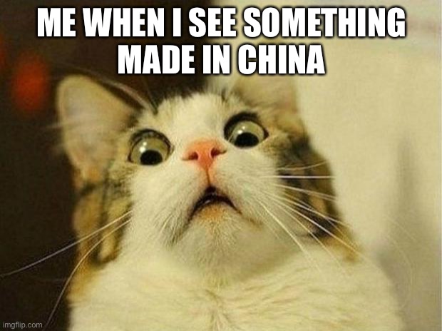 Scared Cat Meme | ME WHEN I SEE SOMETHING
MADE IN CHINA | image tagged in memes,scared cat | made w/ Imgflip meme maker