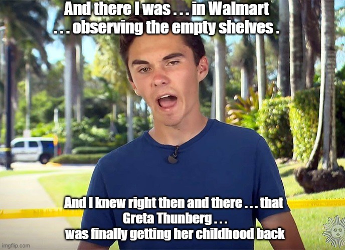 and there I was David Hogg | And there I was . . . in Walmart . . . observing the empty shelves . And I knew right then and there . . . that 
Greta Thunberg . . .
was finally getting her childhood back | image tagged in and there i was david hogg,greta thunberg,climate change | made w/ Imgflip meme maker