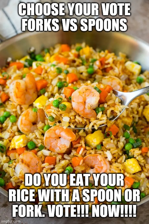 Chinese food | CHOOSE YOUR VOTE
FORKS VS SPOONS; DO YOU EAT YOUR RICE WITH A SPOON OR FORK. VOTE!!! NOW!!!! | image tagged in chinese food,rice,chinese,fried foods,shrimp,japanese | made w/ Imgflip meme maker