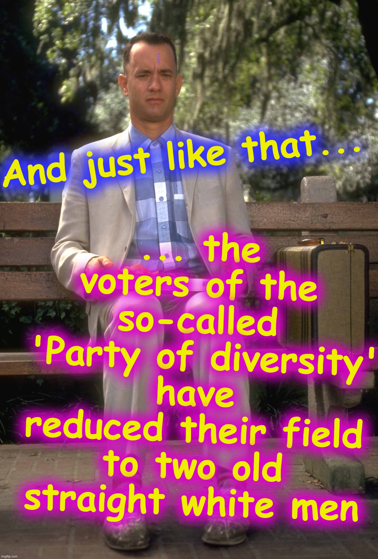D is the real party of slavery and racism | ... the voters of the so-called
 'Party of diversity' have reduced their field to two old straight white men; And just like that... | image tagged in forrest gump,bernie sanders,joe biden,democrat party,racists | made w/ Imgflip meme maker