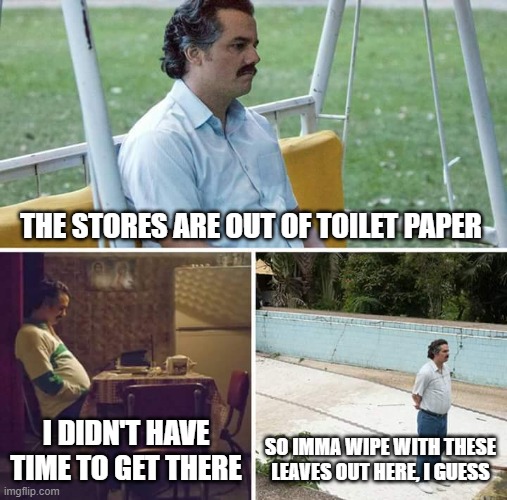 Sad Pablo Escobar Meme | THE STORES ARE OUT OF TOILET PAPER; I DIDN'T HAVE TIME TO GET THERE; SO IMMA WIPE WITH THESE LEAVES OUT HERE, I GUESS | image tagged in memes,sad pablo escobar | made w/ Imgflip meme maker