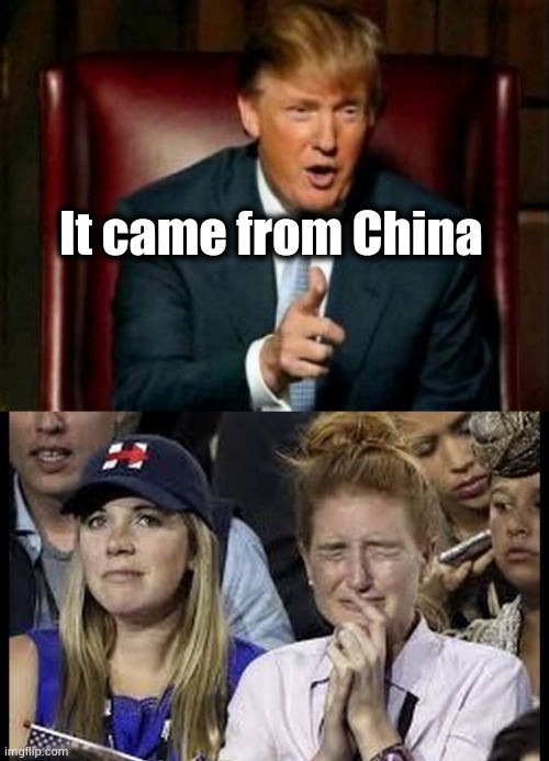 He's talking about Egg Foo Young | It came from China | image tagged in donald trump,crying liberals,snowflakes,melting,monty python tis a silly place | made w/ Imgflip meme maker