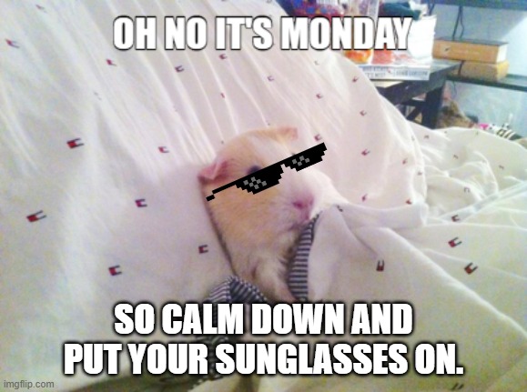 Monday | SO CALM DOWN AND PUT YOUR SUNGLASSES ON. | image tagged in monday | made w/ Imgflip meme maker