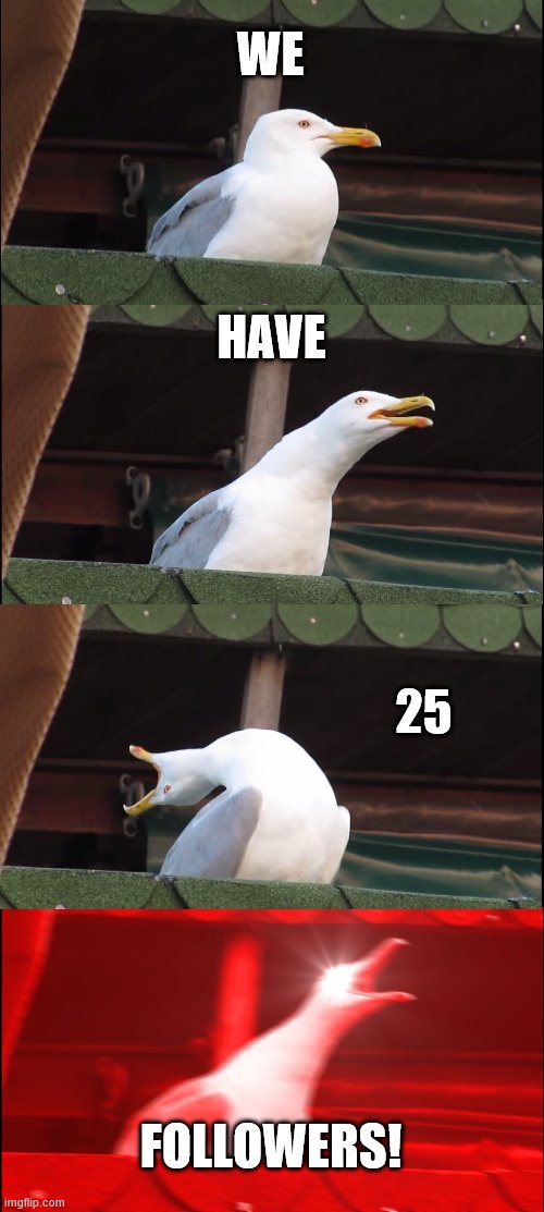 yey | WE; HAVE; 25; FOLLOWERS! | image tagged in memes,inhaling seagull | made w/ Imgflip meme maker