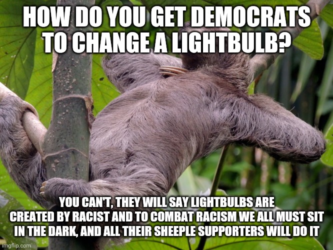 Lazy Sloth | HOW DO YOU GET DEMOCRATS TO CHANGE A LIGHTBULB? YOU CAN'T, THEY WILL SAY LIGHTBULBS ARE CREATED BY RACIST AND TO COMBAT RACISM WE ALL MUST S | image tagged in lazy sloth | made w/ Imgflip meme maker