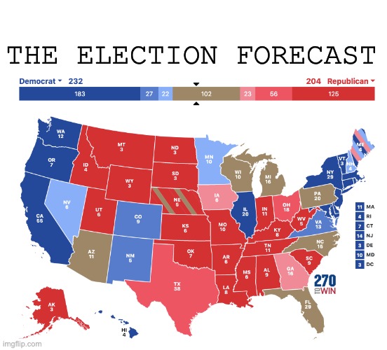 2020 Presidential Election Forecast | THE ELECTION FORECAST | image tagged in 2020 presidential election forecast | made w/ Imgflip meme maker