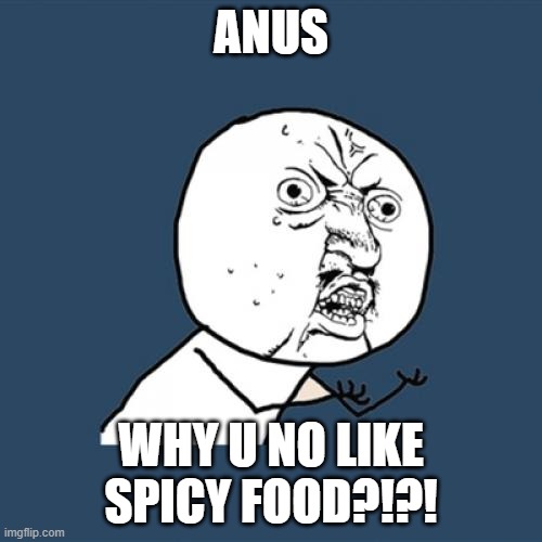 Y U No Meme | ANUS; WHY U NO LIKE SPICY FOOD?!?! | image tagged in memes,y u no | made w/ Imgflip meme maker