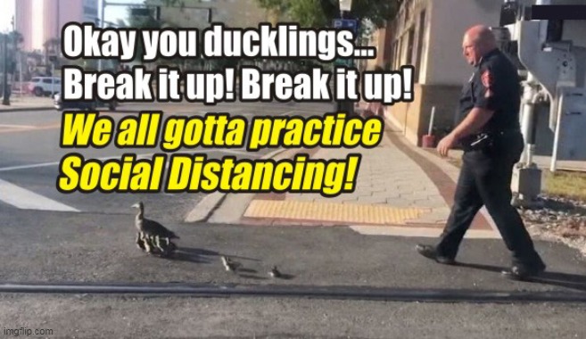 Respect The Authorities :) | image tagged in memes,coronavirus,social distancing,police | made w/ Imgflip meme maker