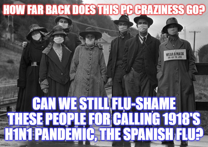Apparently, the Spanish flu did not actually come from Spain.  Maybe the PC snowflakes are right??? | HOW FAR BACK DOES THIS PC CRAZINESS GO? CAN WE STILL FLU-SHAME THESE PEOPLE FOR CALLING 1918'S H1N1 PANDEMIC, THE SPANISH FLU? | image tagged in pc,political correctness,spanish flu,coronavirus,covid-19 | made w/ Imgflip meme maker