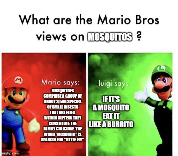 What are the mario bros views on:      ? | MOSQUITOS; IF IT'S A MOSQUITO EAT IT LIKE A BURRITO; MOSQUITOES COMPRISE A GROUP OF ABOUT 3,500 SPECIES OF SMALL INSECTS THAT ARE FLIES. WITHIN DIPTERA THEY CONSTITUTE THE FAMILY CULICIDAE. THE WORD "MOSQUITO" IS SPANISH FOR "LITTLE FLY". | image tagged in what are the mario bros views on | made w/ Imgflip meme maker