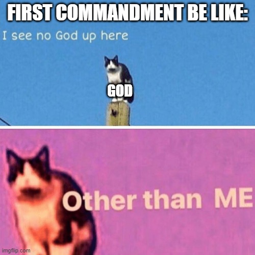 Hail pole cat | FIRST COMMANDMENT BE LIKE:; GOD | image tagged in hail pole cat | made w/ Imgflip meme maker