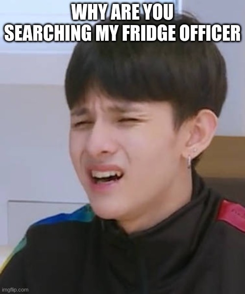 WHY ARE YOU SEARCHING MY FRIDGE OFFICER | image tagged in kpop | made w/ Imgflip meme maker