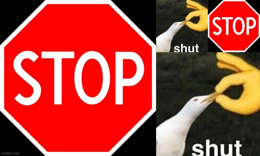 image tagged in stop sign,shut gull | made w/ Imgflip meme maker