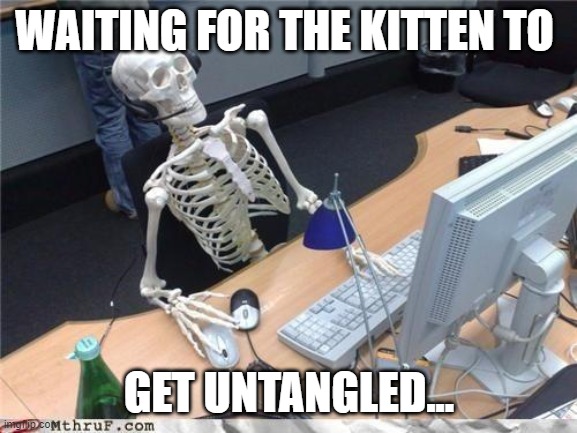Waiting skeleton | WAITING FOR THE KITTEN TO; GET UNTANGLED... | image tagged in waiting skeleton | made w/ Imgflip meme maker
