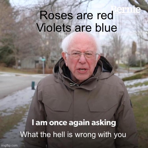 This isn’t the first time I’ve asked... | Roses are red Violets are blue; What the hell is wrong with you | image tagged in memes,bernie i am once again asking for your support,isaac_laugh,roses are red violets are are blue | made w/ Imgflip meme maker
