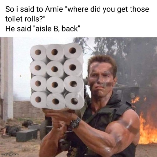 It would be criminal to change this caption, so aisle just leave this he-ya... | image tagged in terminator,toilet paper | made w/ Imgflip meme maker