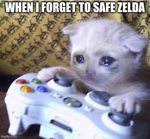 Sad gaming cat | WHEN I FORGET TO SAFE ZELDA | image tagged in sad gaming cat | made w/ Imgflip meme maker