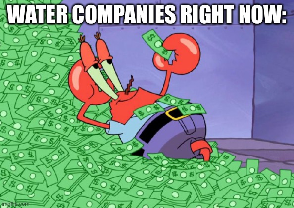 mr crab on money bath | WATER COMPANIES RIGHT NOW: | image tagged in mr crab on money bath | made w/ Imgflip meme maker