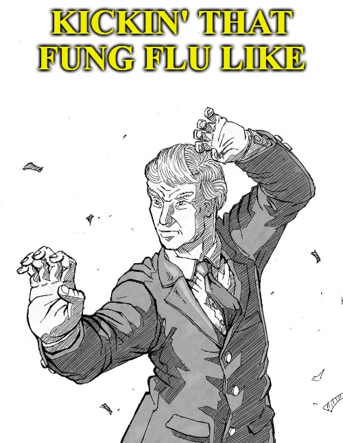 Kickin' the kung flu out! | KICKIN' THAT FUNG FLU LIKE | image tagged in memes,coronavirus,kung flu,china virus,donald trump | made w/ Imgflip meme maker