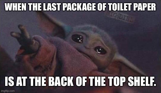 Baby Yoda can’t teach the TP | WHEN THE LAST PACKAGE OF TOILET PAPER; IS AT THE BACK OF THE TOP SHELF. | image tagged in baby yoda,toilet paper,covid-19 | made w/ Imgflip meme maker