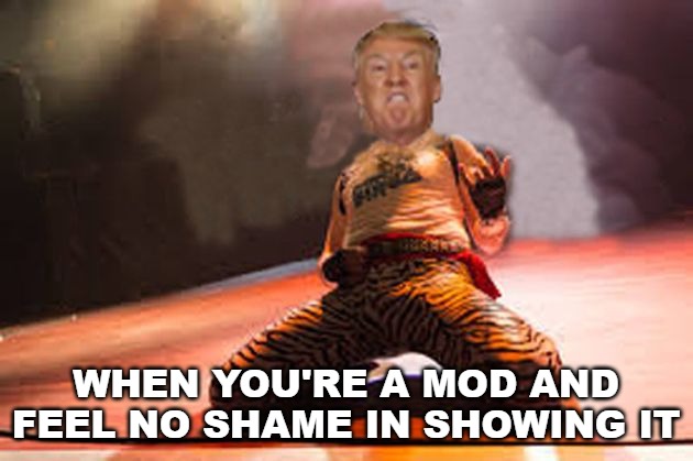 About to make it known to all those nobodies out there who aren't mods. | WHEN YOU'RE A MOD AND FEEL NO SHAME IN SHOWING IT | image tagged in memes,donald trump,donald trump air guitar,everyones a mod | made w/ Imgflip meme maker