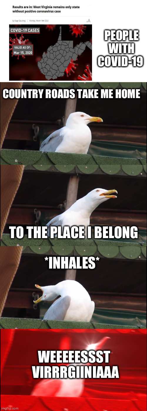 Covid-19 country roads | PEOPLE WITH COVID-19; COUNTRY ROADS TAKE ME HOME; TO THE PLACE I BELONG; *INHALES*; WEEEEESSST  VIRRRGIINIAAA | image tagged in memes,inhaling seagull,coronavirus | made w/ Imgflip meme maker