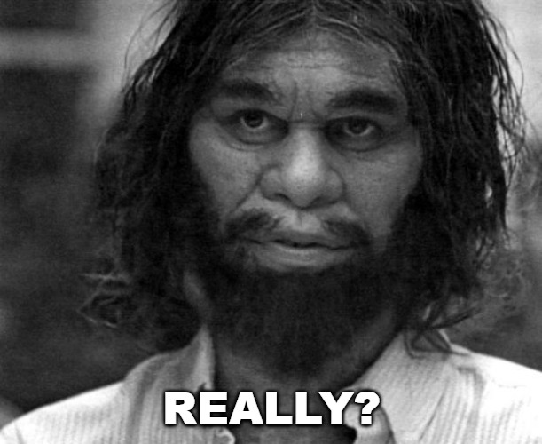 Geico Caveman | REALLY? | image tagged in geico caveman | made w/ Imgflip meme maker