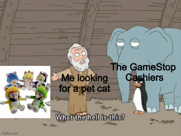 What the hell is this? | The GameStop 
Cashiers; Me looking for a pet cat | image tagged in what the hell is this | made w/ Imgflip meme maker