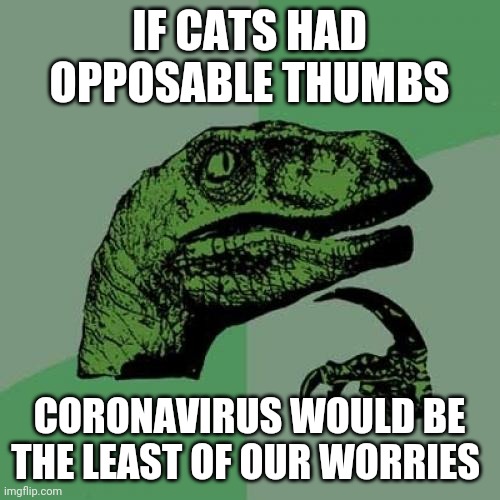 Philosoraptor Meme | IF CATS HAD OPPOSABLE THUMBS; CORONAVIRUS WOULD BE THE LEAST OF OUR WORRIES | image tagged in memes,philosoraptor | made w/ Imgflip meme maker