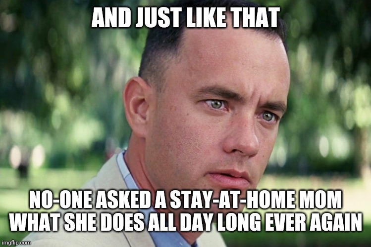 And Just Like That | AND JUST LIKE THAT; NO-ONE ASKED A STAY-AT-HOME MOM WHAT SHE DOES ALL DAY LONG EVER AGAIN | image tagged in memes,and just like that | made w/ Imgflip meme maker