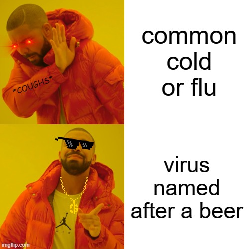 Drake Hotline Bling Meme | common cold or flu; *COUGHS*; virus named after a beer | image tagged in memes,drake hotline bling | made w/ Imgflip meme maker