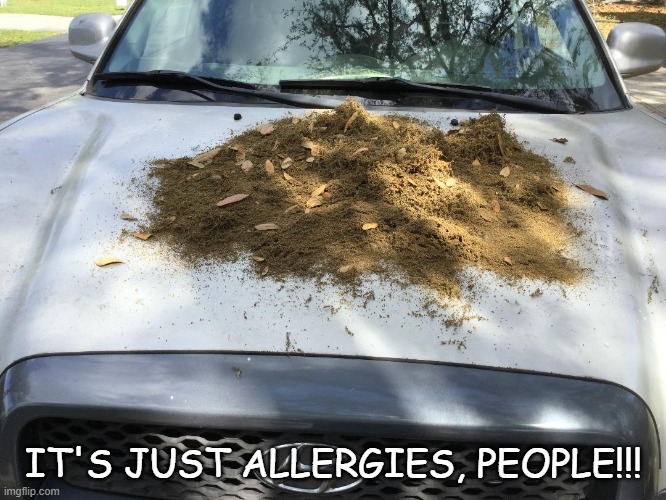 IT'S JUST ALLERGIES, PEOPLE!!! | image tagged in virus,allergies,pollen | made w/ Imgflip meme maker