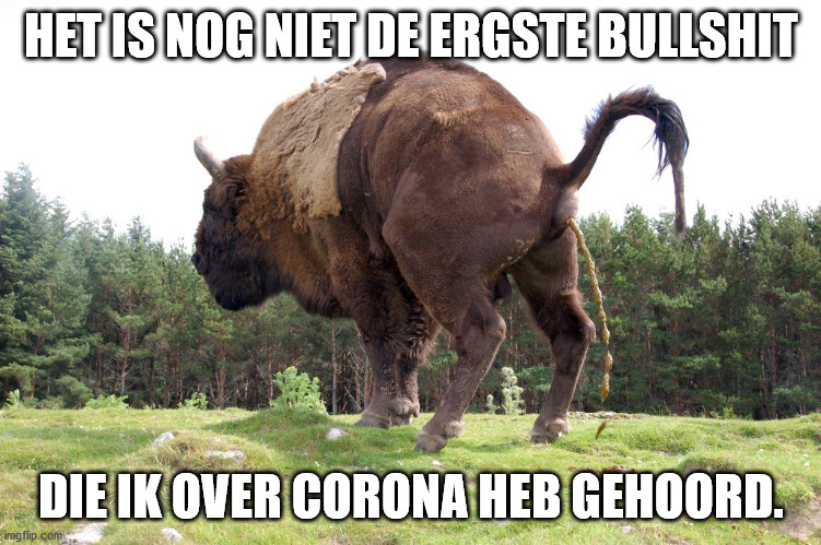 True bullshit | HET IS NOG NIET DE ERGSTE BULLSHIT DIE IK OVER CORONA HEB GEHOORD. | image tagged in true bullshit | made w/ Imgflip meme maker