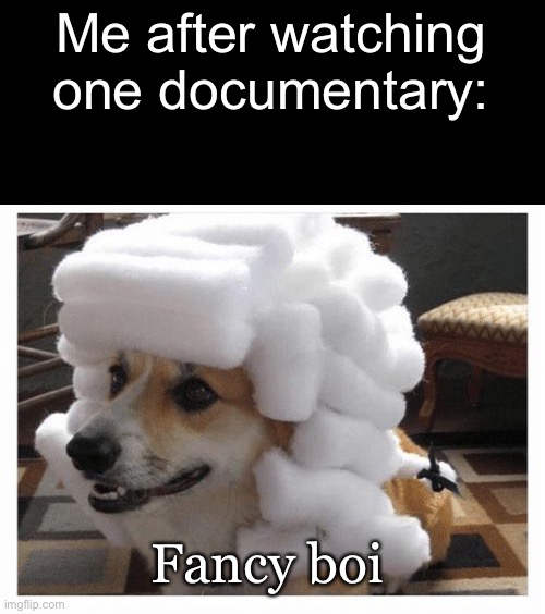 pardon dog | Me after watching one documentary:; Fancy boi | image tagged in pardon dog | made w/ Imgflip meme maker