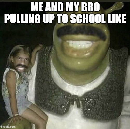 I love this image | ME AND MY BRO PULLING UP TO SCHOOL LIKE | image tagged in sherk twins | made w/ Imgflip meme maker