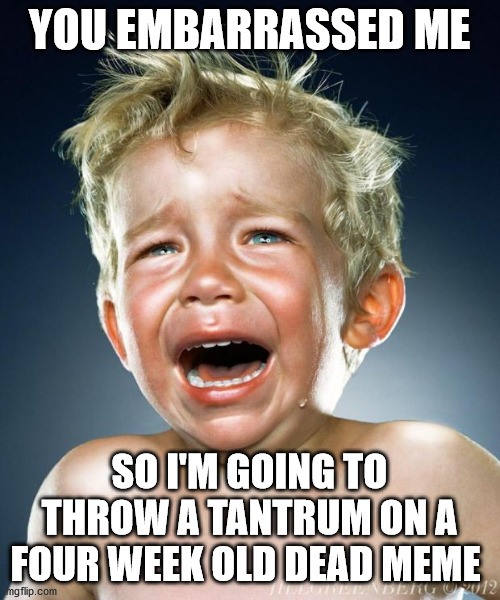 crying child | YOU EMBARRASSED ME SO I'M GOING TO THROW A TANTRUM ON A FOUR WEEK OLD DEAD MEME | image tagged in crying child | made w/ Imgflip meme maker