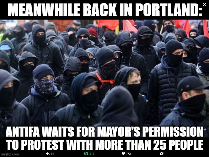 Antifa | MEANWHILE BACK IN PORTLAND:; ANTIFA WAITS FOR MAYOR'S PERMISSION TO PROTEST WITH MORE THAN 25 PEOPLE | image tagged in antifa,portland,protesters,politics | made w/ Imgflip meme maker
