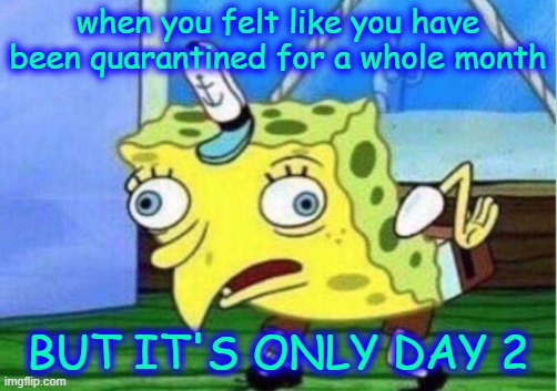 Mocking Spongebob | when you felt like you have been quarantined for a whole month; BUT IT'S ONLY DAY 2 | image tagged in memes,mocking spongebob | made w/ Imgflip meme maker