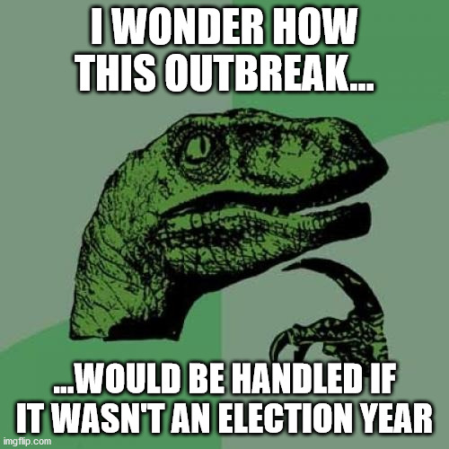Philosoraptor Meme | I WONDER HOW THIS OUTBREAK... ...WOULD BE HANDLED IF IT WASN'T AN ELECTION YEAR | image tagged in memes,philosoraptor | made w/ Imgflip meme maker