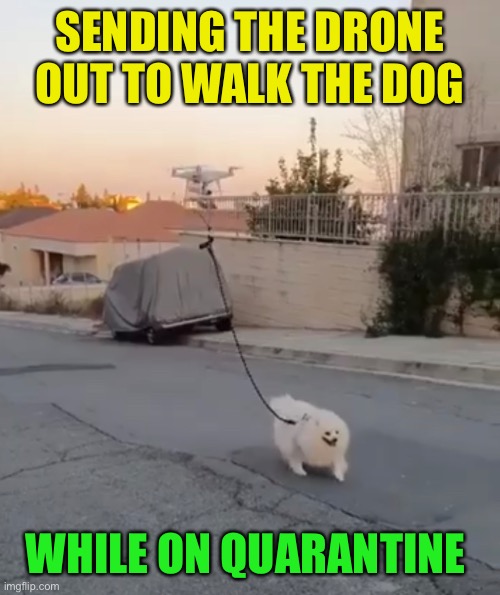 Remote pilot the dog | SENDING THE DRONE OUT TO WALK THE DOG; WHILE ON QUARANTINE | image tagged in drone,dog walking,coronavirus,memes | made w/ Imgflip meme maker