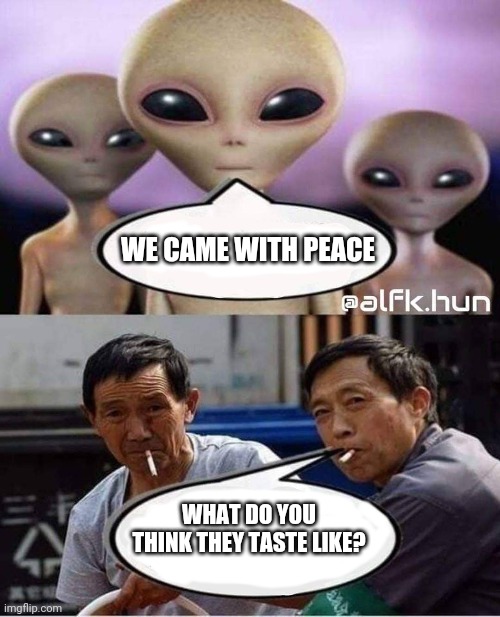 What do you think they taste like? | WE CAME WITH PEACE; WHAT DO YOU THINK THEY TASTE LIKE? | image tagged in ufo,taste | made w/ Imgflip meme maker